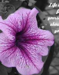 Picture for Intro Offer: Kick Start your Transformation! package